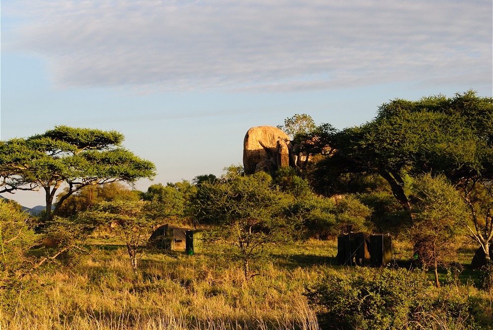 Mobil tltcamp. (Seronera i centrala Serengeti National Park, Tanzania)