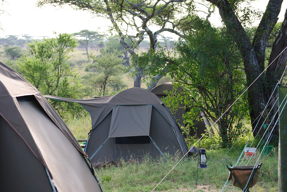 Mobil tltcamp. (Centrala Serengeti National Park, Tanzania)