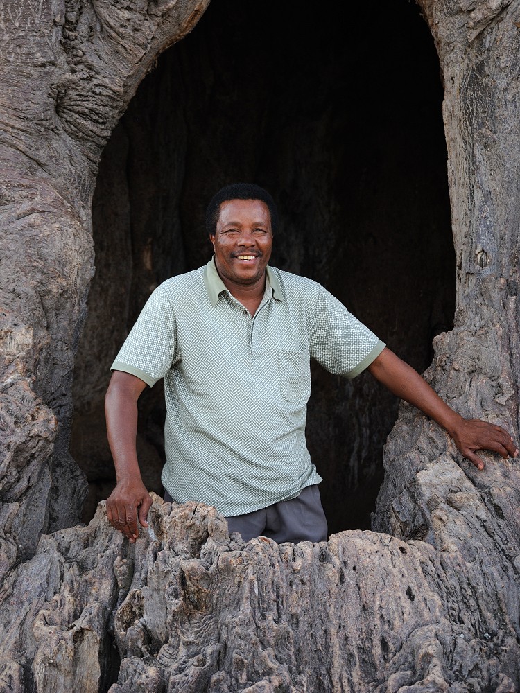 Guidechauffren Daniel i ett ihligt baobabtrd. (Tarangire National Park, Tanzania)