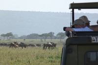 Djurskådning. (Södra Serengeti National Park, Tanzania)