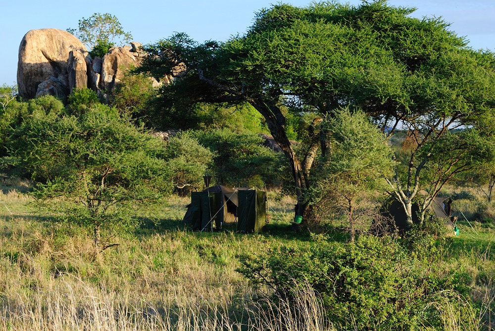 Mobil camp p special camp site Sero 1. (Centrala Serengeti National Park, Tanzania)