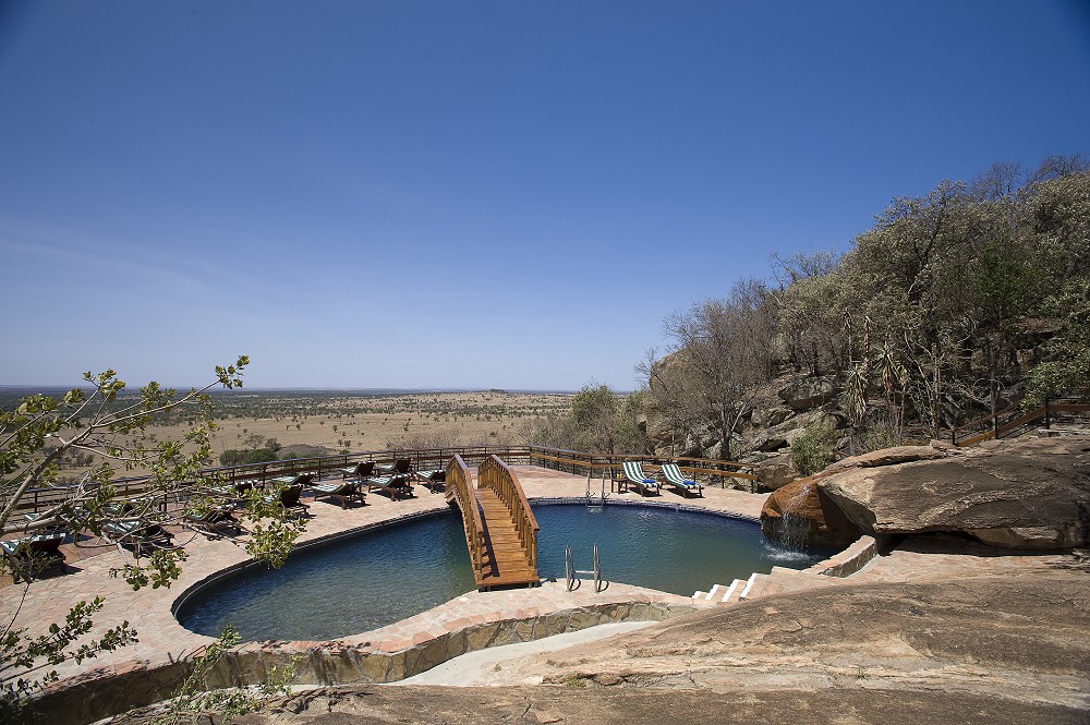 Poolomrdet p Lobo Wildlife Lodge. (Lobo i norra Serengeti National Park, Tanzania)