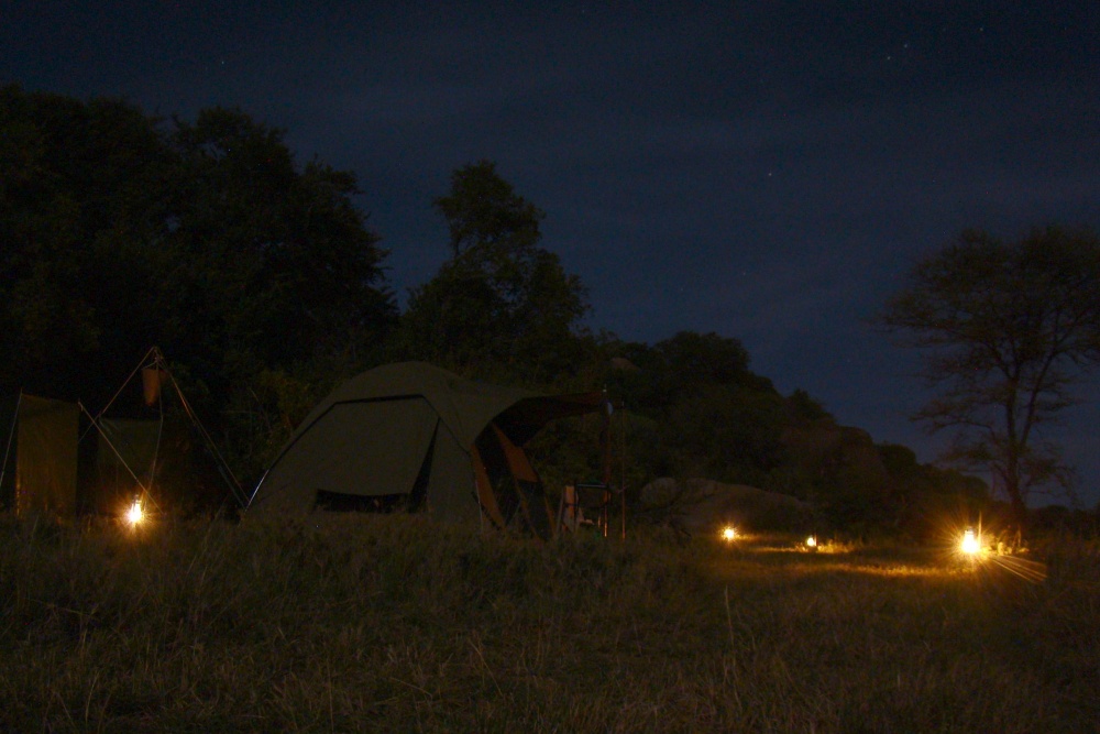 Mobil camp i i fullmnesken. Special camp site Moru 6. (Sdra Serengeti National Park, Tanzania)