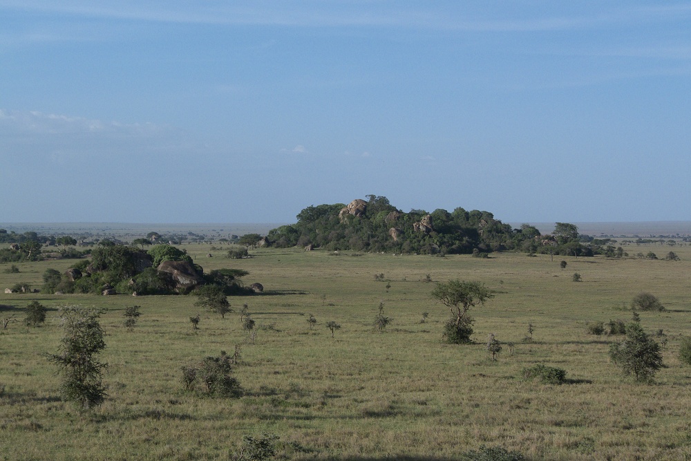 Moru Kopjes. (Sdra Serengeti National Park, Tanzania)