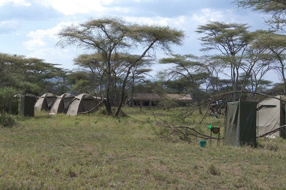 Mobil camp p special camp site Olobaye. (Sdra Serengeti National Park, Tanzania)