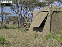 Mobil camp på special camp site Olobaye. (Södra Serengeti National Park, Tanzania)