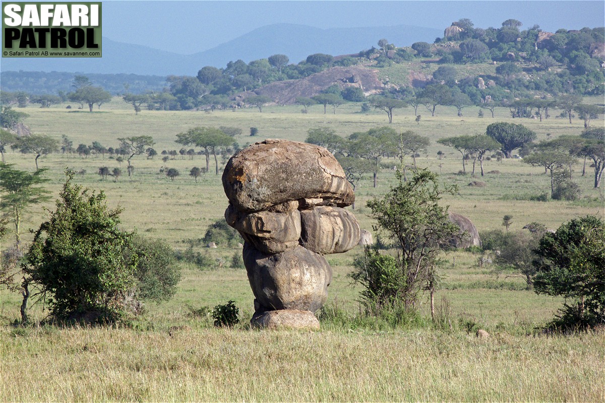 Stenformation. (Moru Kopjes i sdra Serengeti National Park, Tanzania)