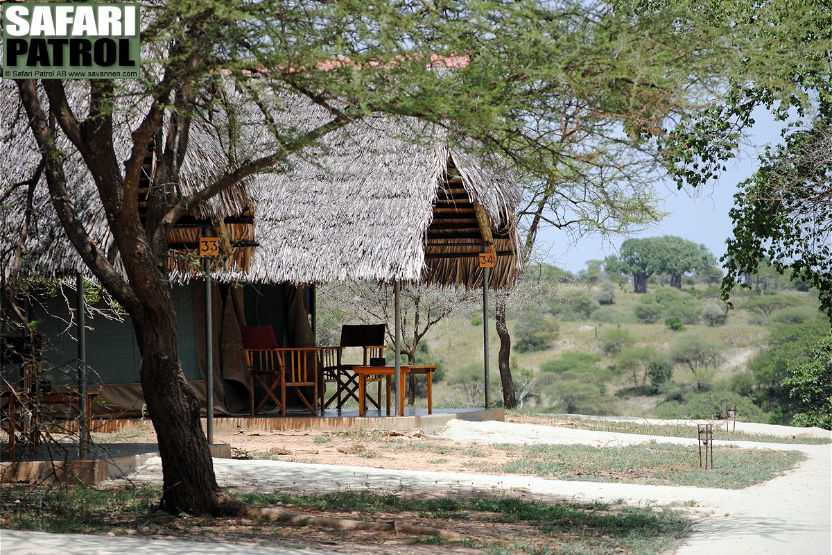 Tarangire Safari Lodge. (Tarangire National Park, Tanzania)