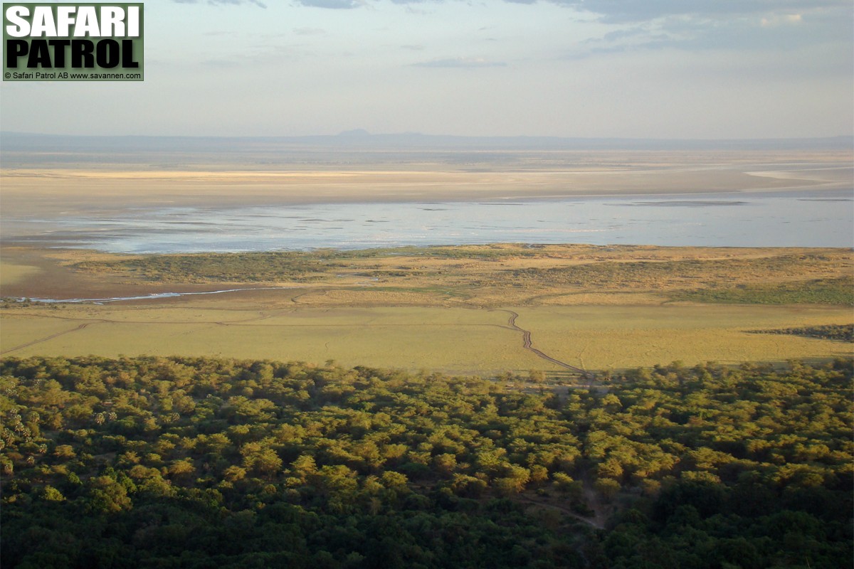 Lake Manyara National Park. (Lake Manyara Wildlife Lodge, Tanzania)