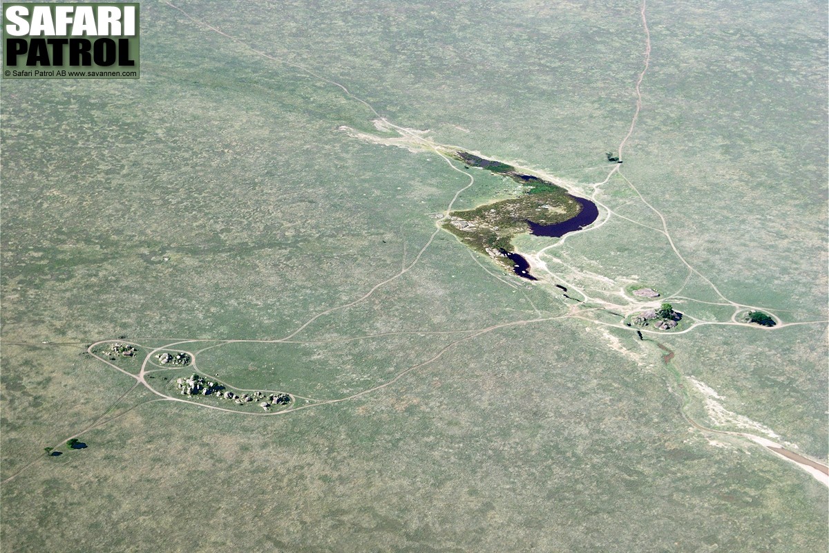 Flygvy med kopje och vattenspeglar. (Sydvstra Serengeti National Park, Tanzania)