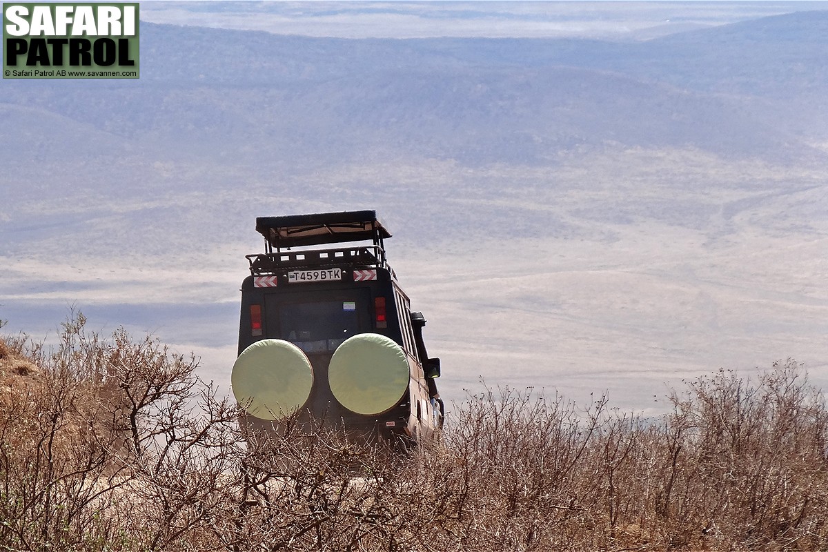 Seneto Descent Road, den vstra nedfarten i kratern. (Ngorongorokratern, Tanzania)