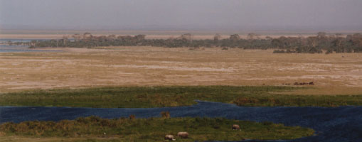 Vy över Amboseli National Reserve.