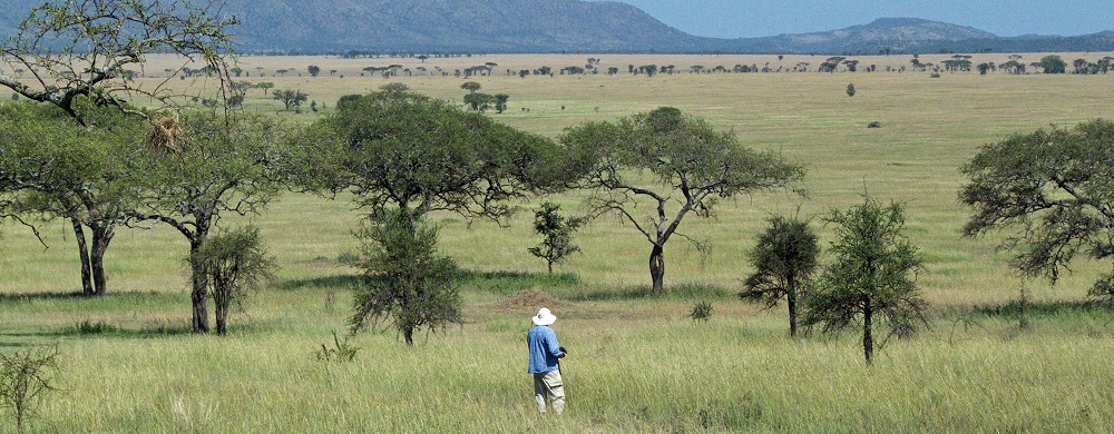 På kullen Mawe Meupe i centrala Serengeti.