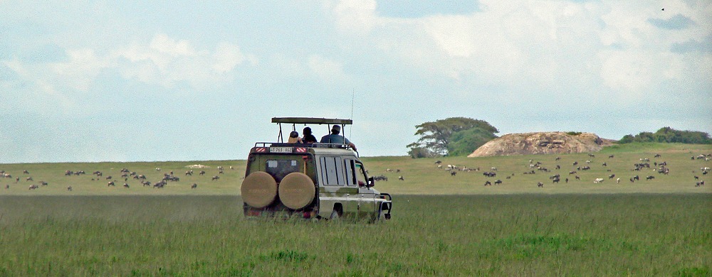 Djurskådning i centrala Serengeti.