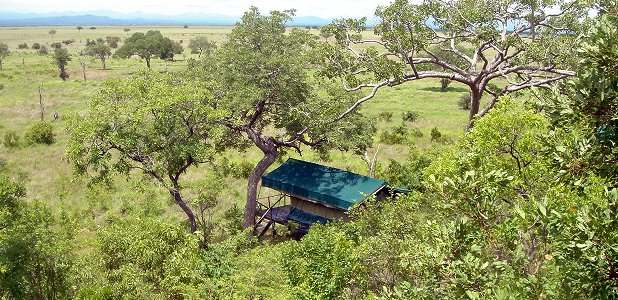Stanley's Kopje, en bushnära tältcamp i nationalparken Mikumi i Tanzania.