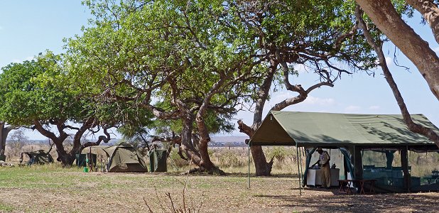 Mobil camp rest i en träddunge på savannen.
