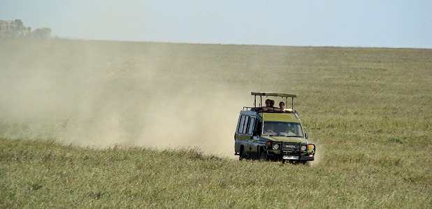 På väg över grässavannen i Serengeti.