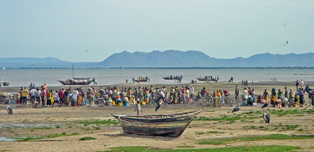 Fiskmarknad på stranden.
