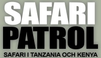 Safari i Kenya och Tanzania – savannen.com