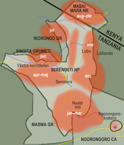 Karta över gnuernas och zebrornas vandringscykel.