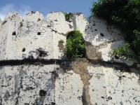 Fortet i stenstaden. (Zanzibar, Tanzania)