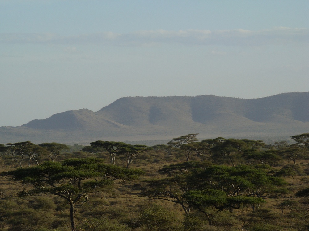Vy ver Seronera. (Centrala Serengeti National Park, Tanzania)