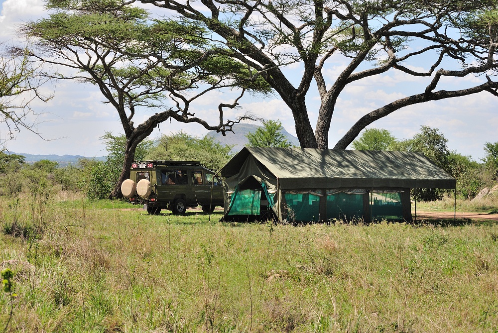 Msstlt och safarifordon. Mobil camp p special camp site Sero 1. (Centrala Serengeti National Park, Tanzania)