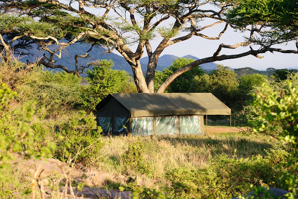 Msstlt. Mobil camp p special camp site Sero 1. (Centrala Serengeti National Park, Tanzania)