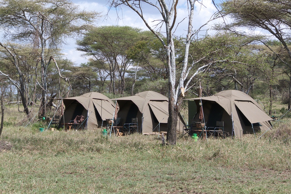 Tlt i bushen. Mobil camp p special camp site Olobaye. (Sdra Serengeti National Park, Tanzania)