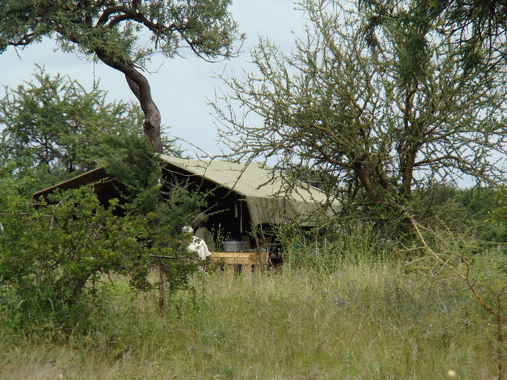 Kkstlt p mobil camp. (Sdra Serengeti National Park, Tanzania)