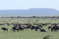 Olobaye i södra Serengeti.