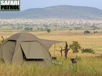 Mobil camp på special camp site David's Camp. (Moru Kopjes i södra Serengeti National Park, Tanzania)