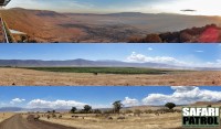 Panoramabilder. (Ngorongorokratern, Tanzania)