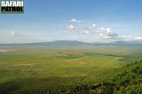 Vy från den södra kraterkanten. (Ngorongorokratern, Tanzania)