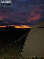 Tält på mobil camp. (Tarangire National Park, Tanzania)