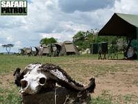Mobil camp i Moru Kopjes. (Södra Serengeti National Park, Tanzania)