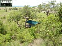 Bushnära läge på Stanley's Kopje Camp. (Mikumi National Park, Tanzania)