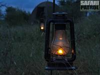 Skymning på mobil camp. (Tarangire National Park, Tanzania)