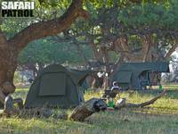 Avkoppling på mobil camp. (Tarangire National Park, Tanzania)