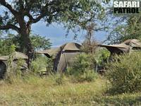 Mobil camp på privat mark vid parkgränsen. (Tarangire National Park, Tanzania)