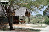 Tarangire Safari Lodge. (Tarangire National Park, Tanzania)