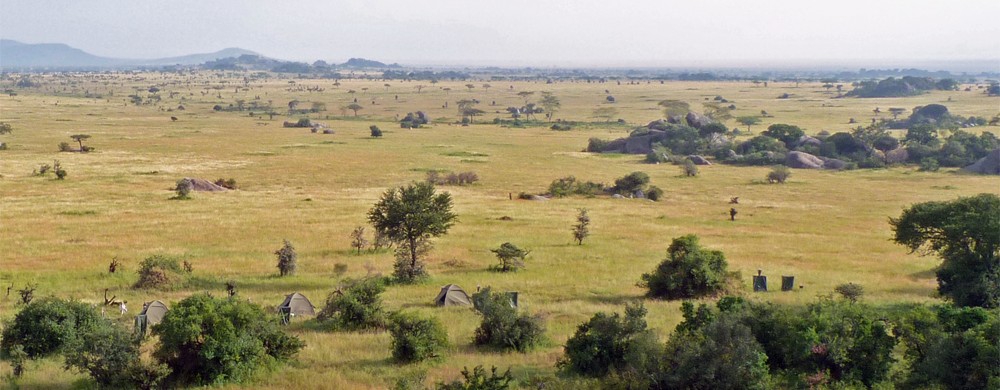 Mobil camp på David's Camp i Moru Kopjes i Serengeti.