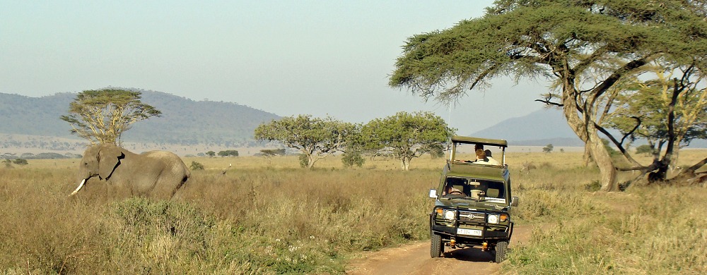 På safari i centrala Serengeti i Tanzania. 