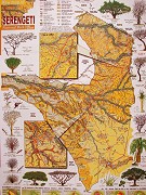 Hoopoes karta över Serengeti.