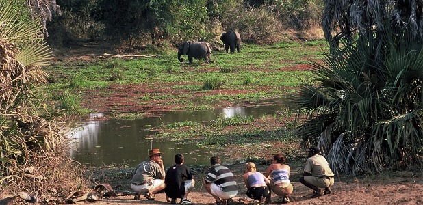 Bushvandring i Lower Zambezi National Park.
