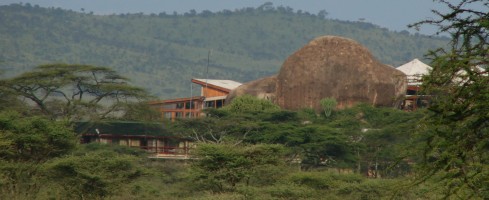 Seronera Wildlife Lodge har byggts på en stor kopje, dvs en granitö.