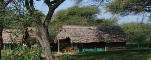 Tarangire Safari Lodge.