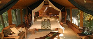Mara Gypsy Luxury Safari Camp