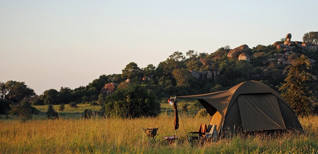 Bushnärhet på mobil camp i Moru Kopjes i Serengeti.