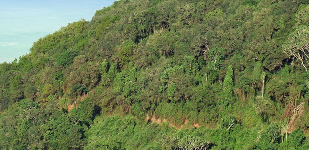 Kraterkanten är i genomsnitt drygt 600 meter hög och klädd med bergskog.